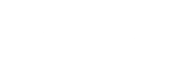 BID Lab-2-1