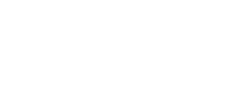 BID Lab-2